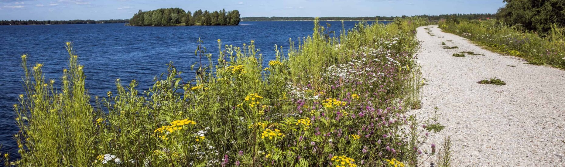 Kesäkuvia Keminmaasta. Kemijoki
Jokipenkka Lautiosaaren puolelta